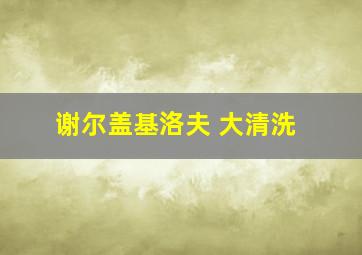 谢尔盖基洛夫 大清洗